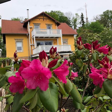 Ferienwohnung Casa Casimir Mit Elbblick, Balkon Und Grossen Garten 드레스덴 외부 사진